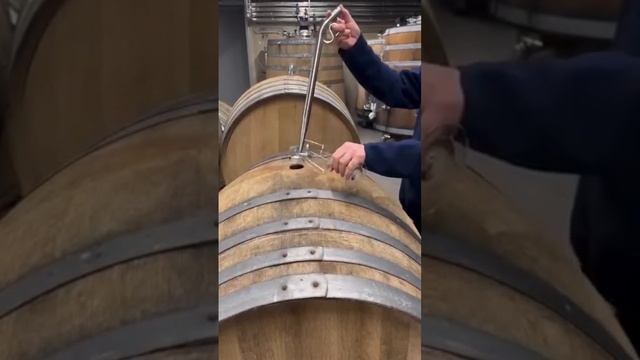 Первая проба на аромат