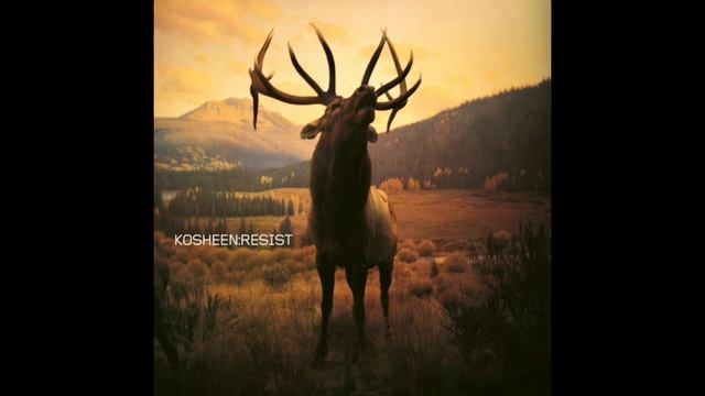 Kosheen - Catch (2021 Remaster) смотреть онлайн