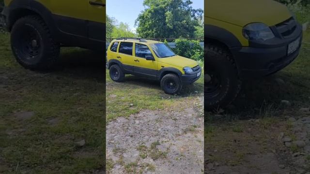 Шевик смотреть онлайн