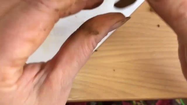 Мастер класс Центра развития народных промыслов и краеведения по лепке из глины фигуры «Барыня» смотреть онлайн