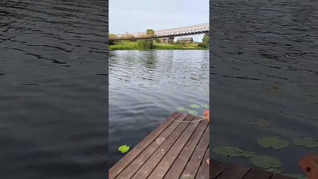 Ловим рыбу в реке Олонка.