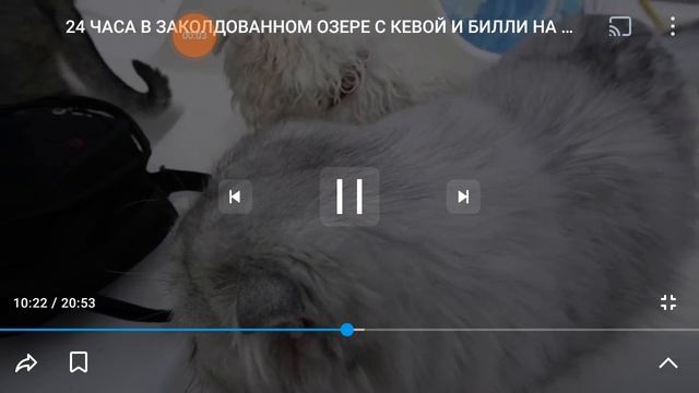 кевин смотреть онлайн