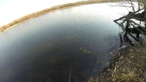 Ловля щуки на микро-джерк  КУРСОР