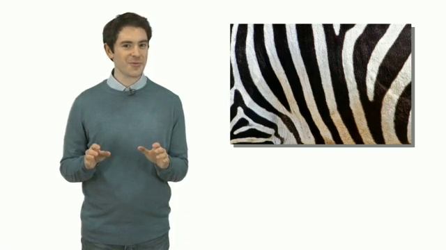 OD2_U9_Wrap-up_-How_do_we_make_art- смотреть онлайн