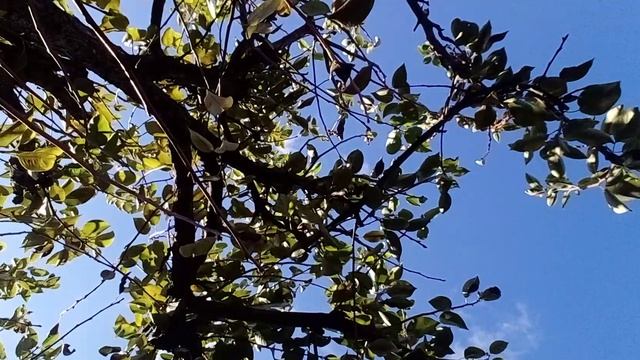 20241008_100918.mp4 смотреть онлайн