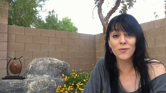 Last Post from Home This Month + Day 25 Fortune Cookie-a-Day смотреть онлайн