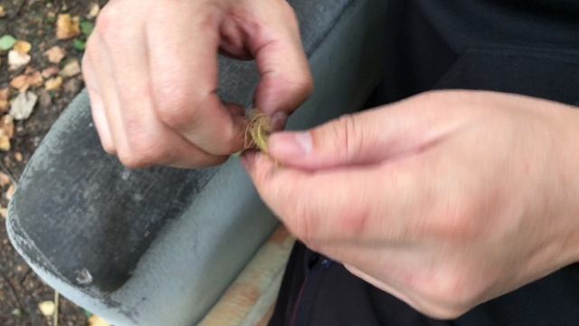 Собираем модный урожай на даче. Бэби овощи смотреть онлайн