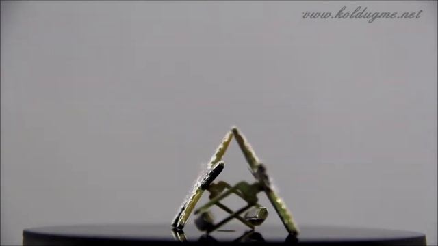 Deniz Yıldızı Kol Düğmesi смотреть онлайн