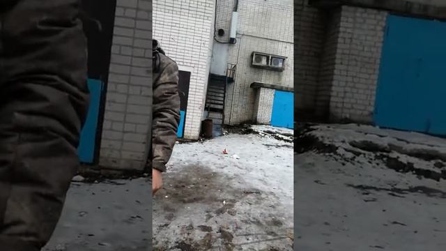 Петарды от Яниса😂 смотреть онлайн