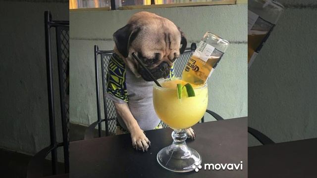 Доброе утро и хорошего дня 🙃🙂😉 смотреть онлайн