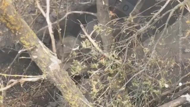 ⚡️СВО 18+ Подпалили хохлу сракотан. смотреть онлайн