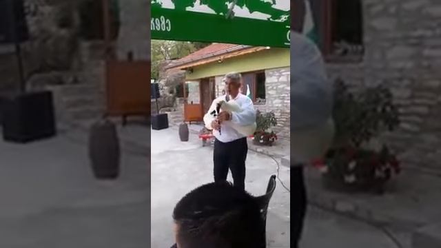 Станчо Димитров,,гайда,, смотреть онлайн