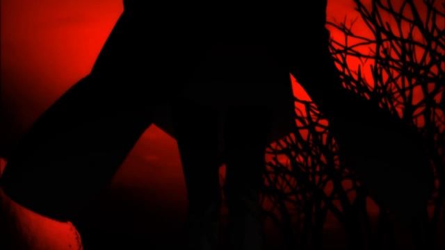 Monogatari Series AMV | Цикл историй АМВ [hd]