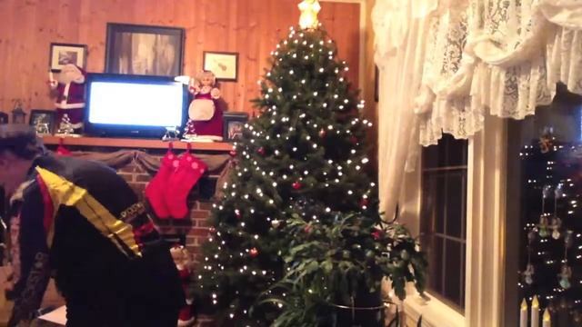 DECORATING THE CHRISTMAS TREE! [12.10.14 - Day 465] смотреть онлайн