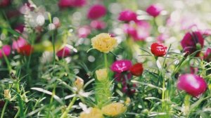 Красивая Музыка - Summer Memories O Henri Per