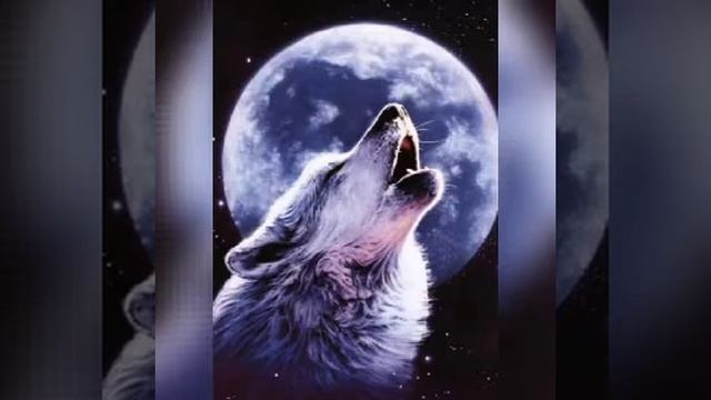 Блатной удар - ВОЛК 🐺 смотреть онлайн