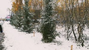 Воркута.06.10.24. Может это зима?