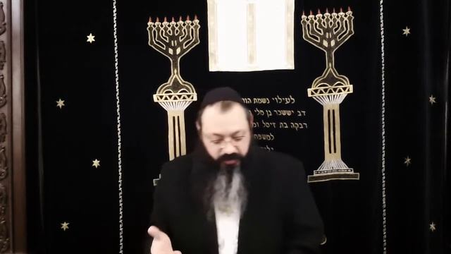 раввин Довид Фельдман, недельная глава Шмот, 5782 год. смотреть онлайн