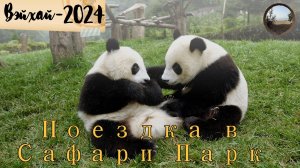 Поездка в зоопарк из города Вэйхай, Китай / A trip to the zoo from Weihai, China