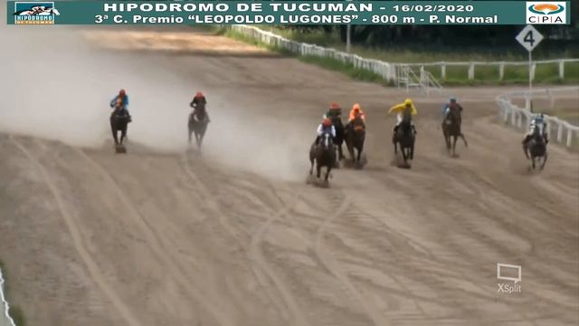 3º C. PREMIO "LEOPOLDO LUGONES" - 16/02/2020 смотреть онлайн