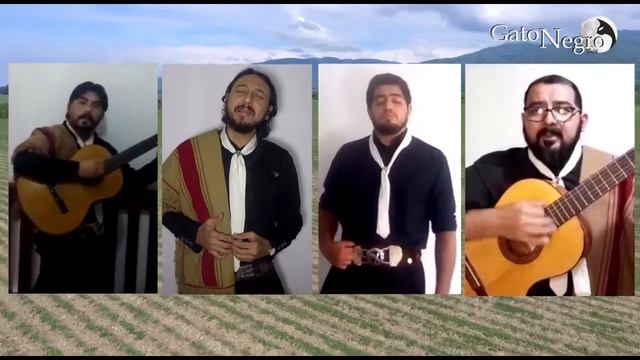 Homenaje de Gato Negro a San Isidro Labrador смотреть онлайн