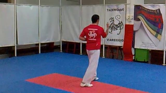 Taekwondo Viareggio Allenamento 2013/01/07 1a Forma Renato смотреть онлайн