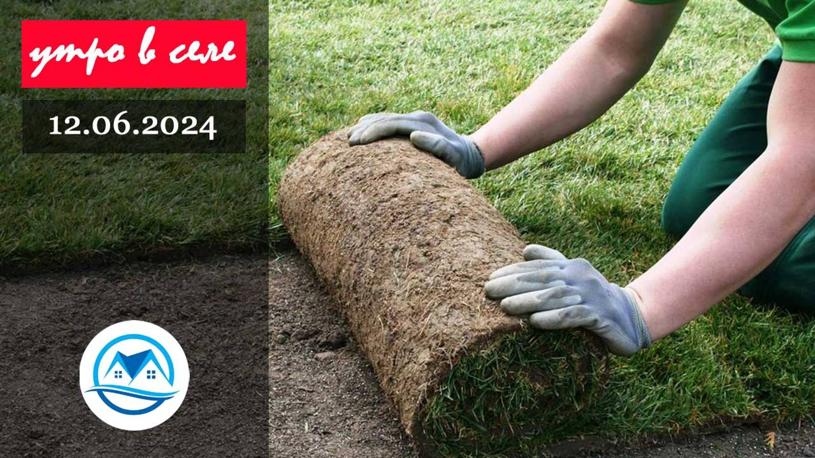 Утро в селе 12.06.2024 смотреть онлайн