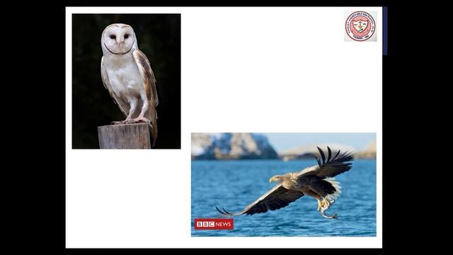 Class 5 Science Revision 6 смотреть онлайн