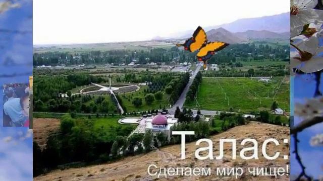 Залкар смотреть онлайн
