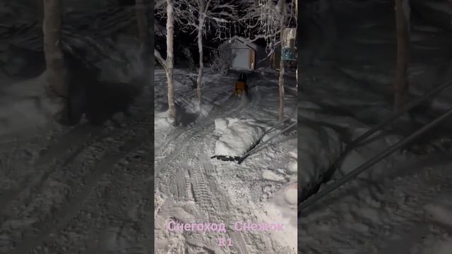 Снегоход Снежок R1. #БайкСити 8927 441 7878 смотреть онлайн