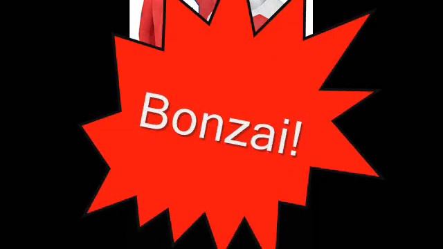 The Nuclears "Bonzai" - lyric video смотреть онлайн