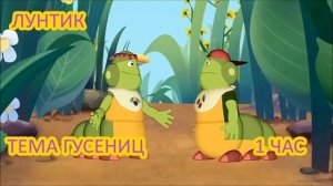 1 ЧАС!!! ЛУНТИК (ТЕМА ГУСЕНИЦ)