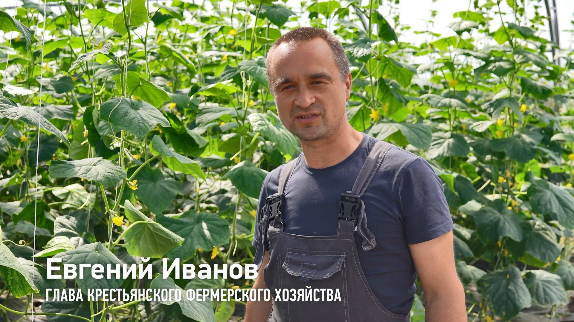 КФХ Иванов Евгений Александрович смотреть онлайн