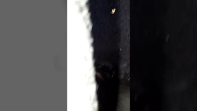 Donde se localiza laBomba de gasolina 2003 acura MDX смотреть онлайн