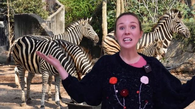 Letter Z | Alphabets | Vocabularies | A DAY AT THE ZOO | Very Real English смотреть онлайн
