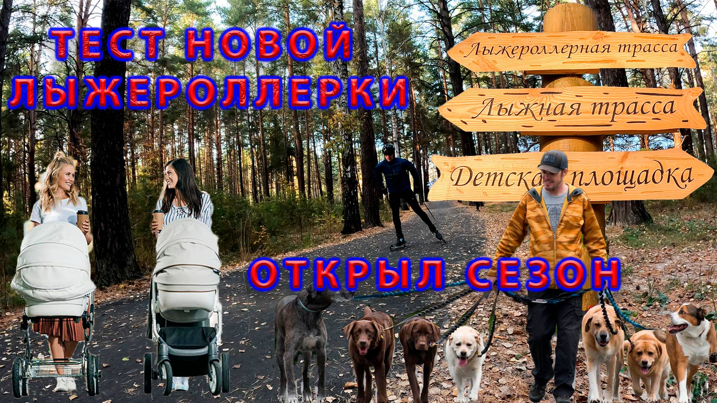 Открытие лыжероллерного сезона. Тест новой лыжероллерки. смотреть онлайн
