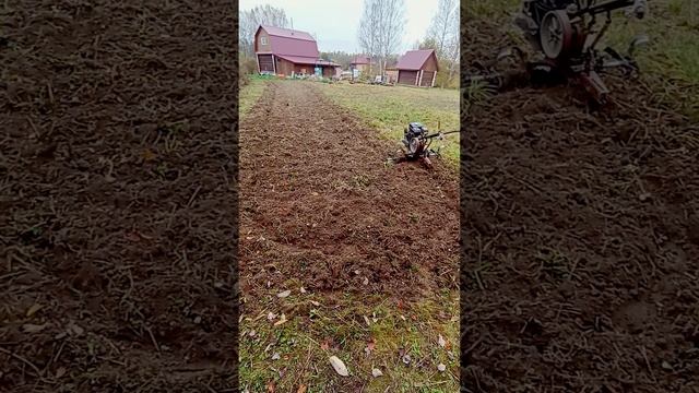 Пашем в октябре  огород 2024