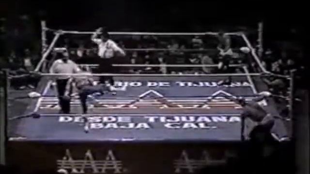 Espectro Jr/Jerry Estrada/La Parka vs Lizmark/Rey Misterio Sr y Jr (AAA February 20th, 1994) смотреть онлайн