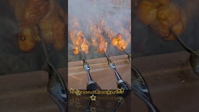 Бедро куриное шашлык Shorts смотреть онлайн