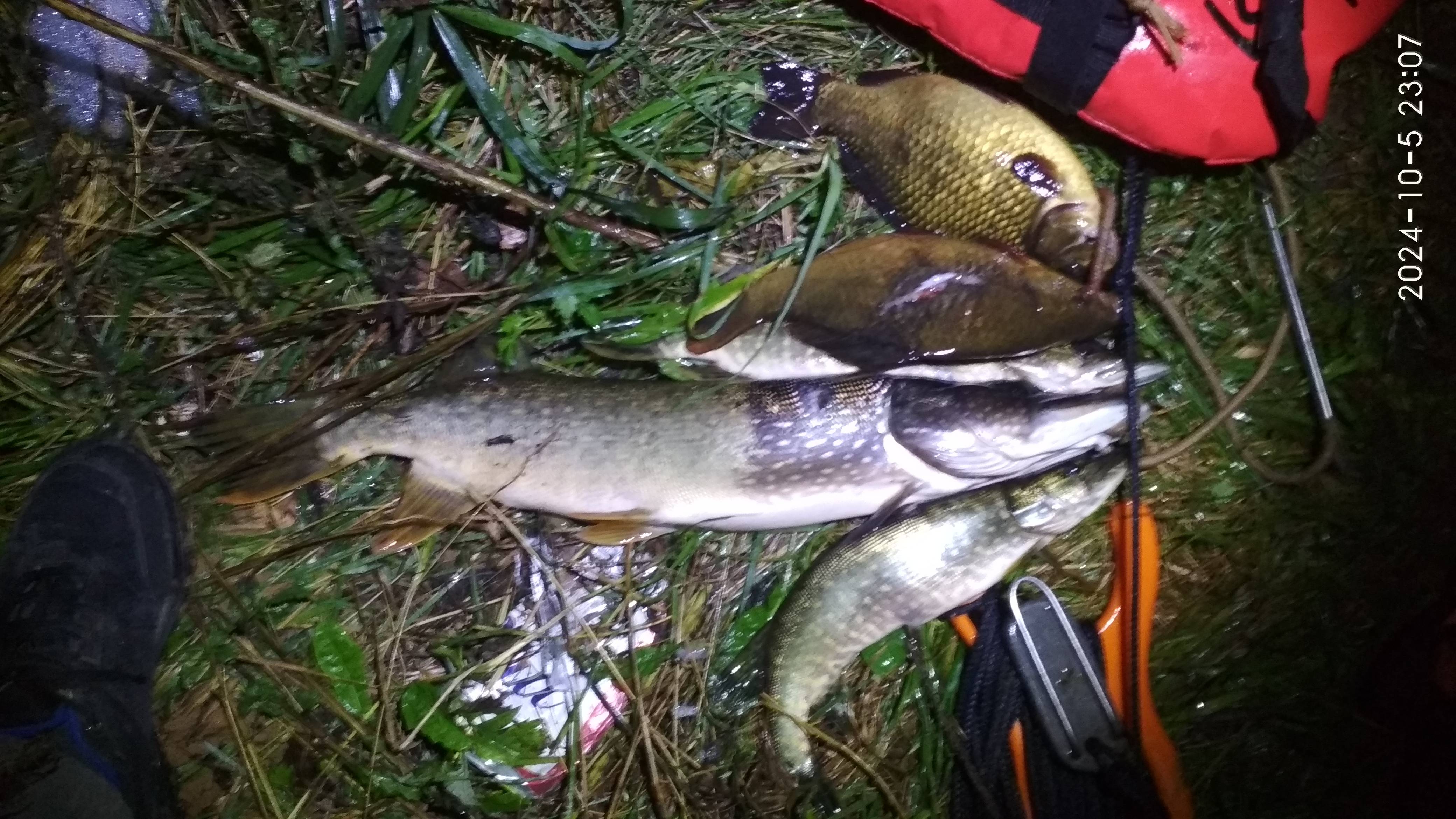 Подводная охота с Алексеем ,озеро золотое (5.1.2024)