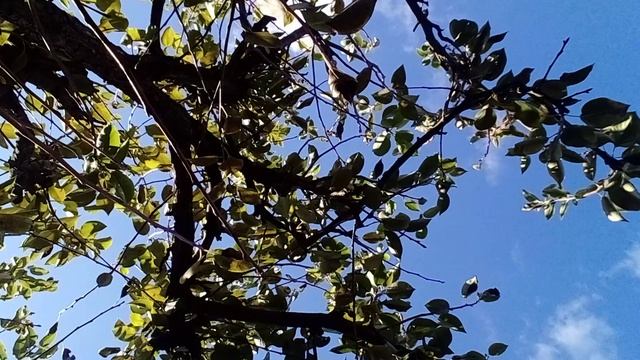 20241008_100623.mp4 смотреть онлайн