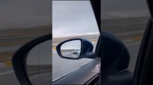 Alfa Romeo 159  🐍