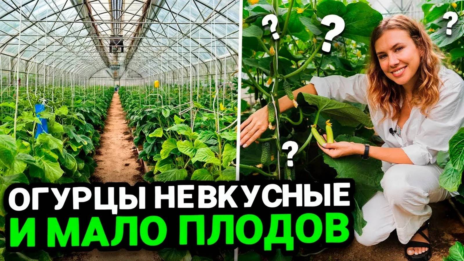 ПОЧЕМУ ОГУРЦЫ НЕ ЗАВЯЗЫВАЮТСЯ, НЕВКУСНЫЕ, БОЧКООБРАЗНЫЕ смотреть онлайн