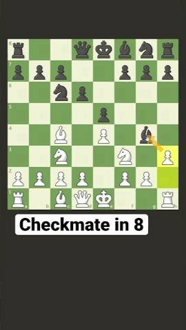 CHECKMATE in 8 смотреть онлайн