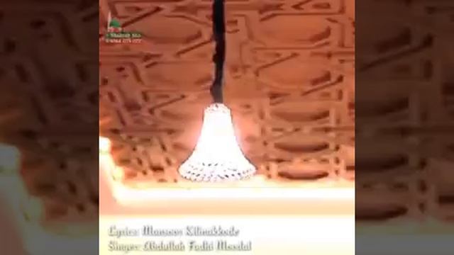 Marana mass |Abdullah fadil song|😍😍😍👍👍 смотреть онлайн