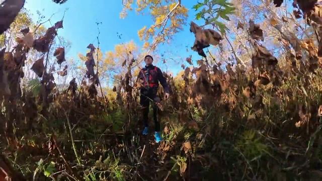 Мыс Средний, скалистое побережье Тихого океана, Камчатка
#камчатка
#тихийокеан смотреть онлайн
