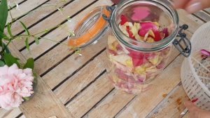 Элексир молодости из лепестков РОЗЫ БЕСПЛАТНО/ КАК сделать самому eau de rose
