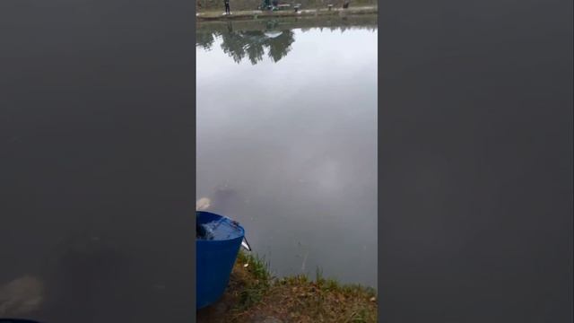 запуск на путевки смотреть онлайн