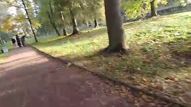 Гатчинский парк и Гатчинский дворец смотреть онлайн