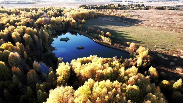 д. Чужьялово смотреть онлайн